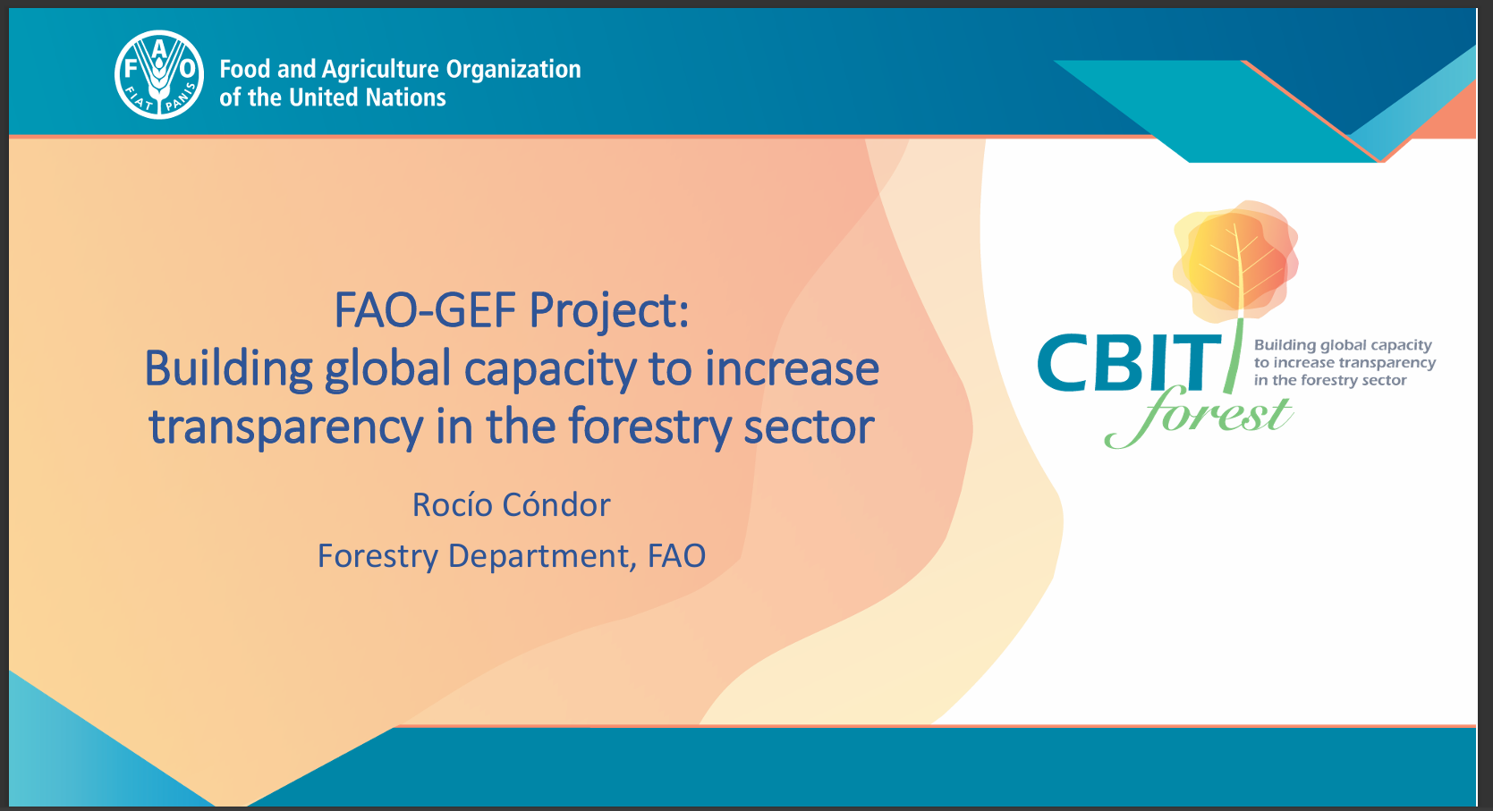 CBIT_Forest_Uganda_19June20