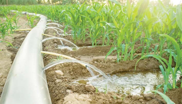 Ngora irrigation scheme excites communities.